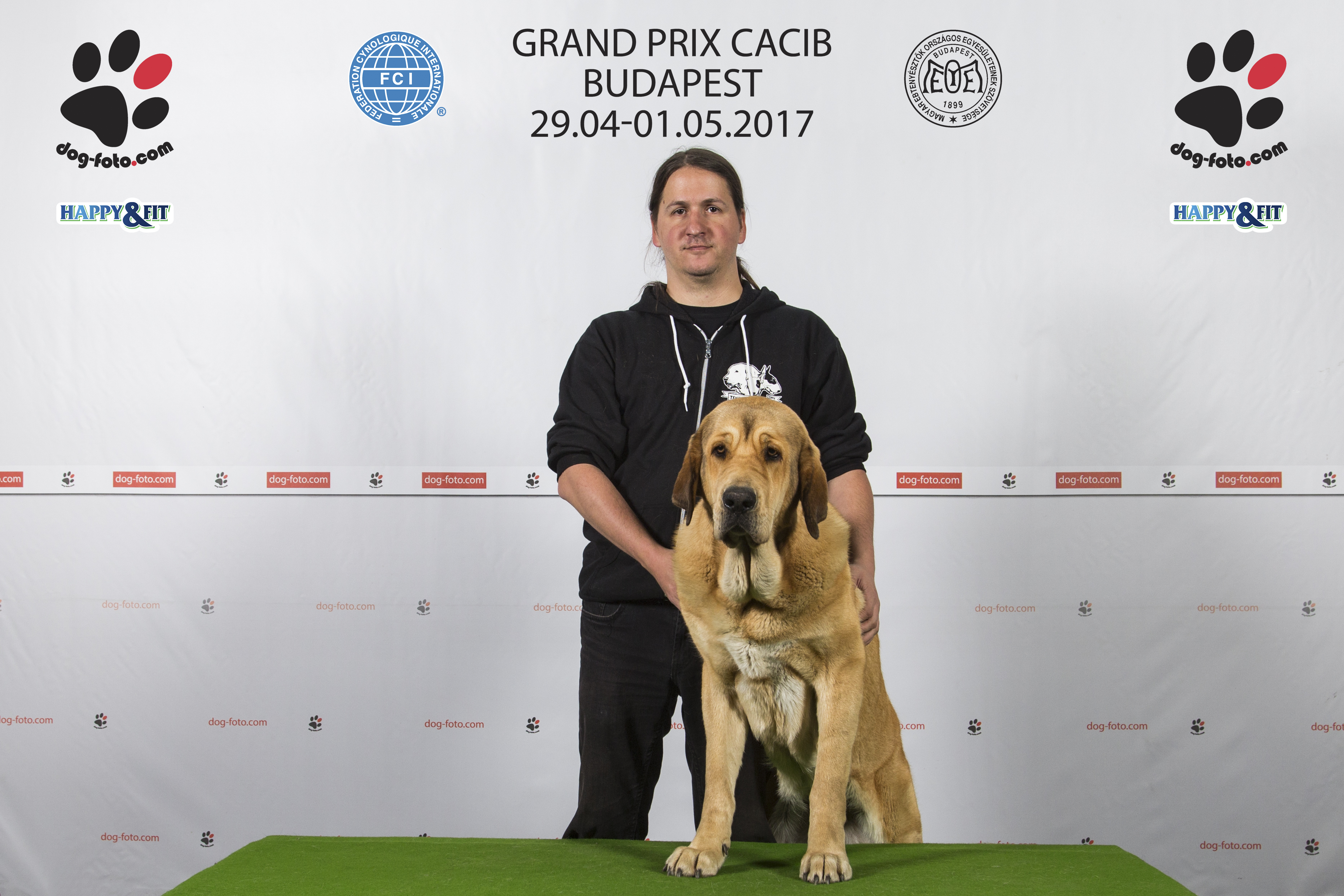 Irma De Tierra De Orbigo (Irma) - Grand Prix CACIB - Budapest